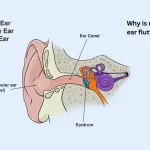why is my left ear fluttering